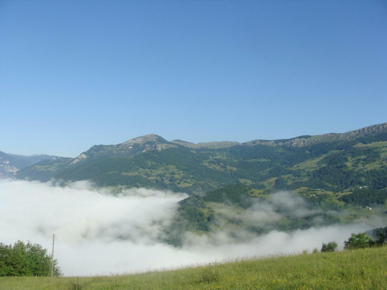 Taramour Cottages. Mojkovac Bagian luar foto