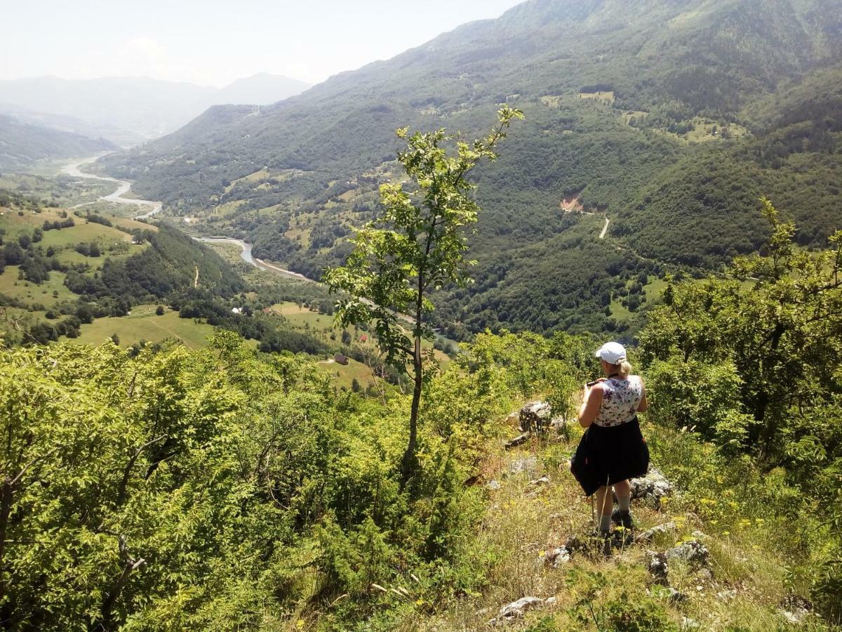 Taramour Cottages. Mojkovac Bagian luar foto